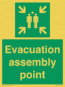 evacuation-assembly-point~